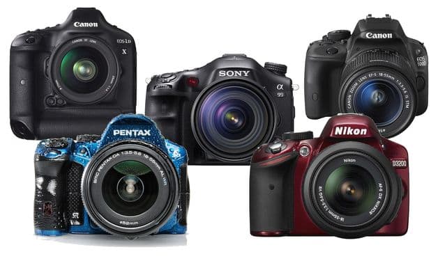 5 budget DSLRs for 2015