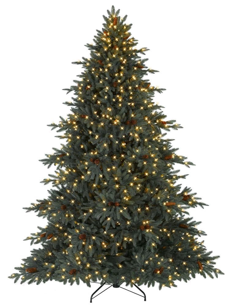 ‘Tis the season to be jolly and merry, with Christmas around the corner!