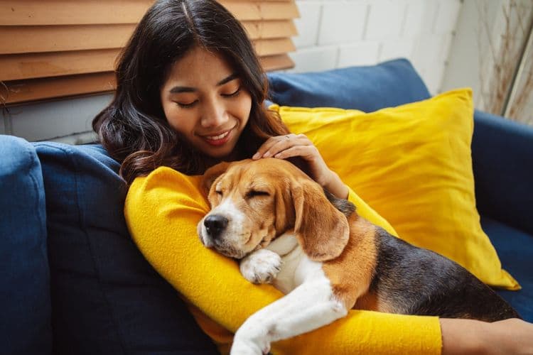 How to Adopt a Pet in Sri Lanka: What You Need to Know